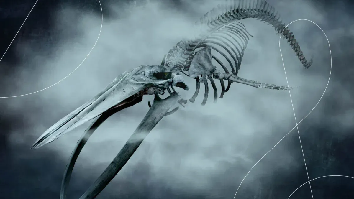 den flygende hollender