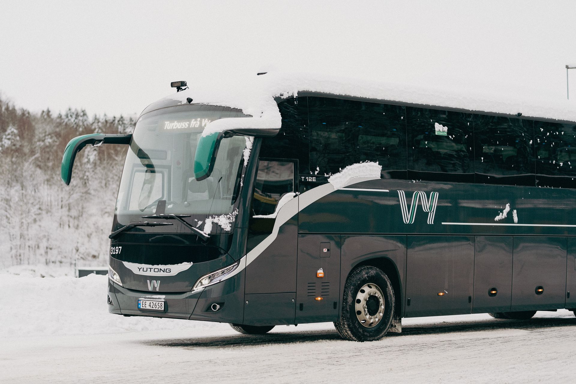Buss som kjører over en bro i en skog