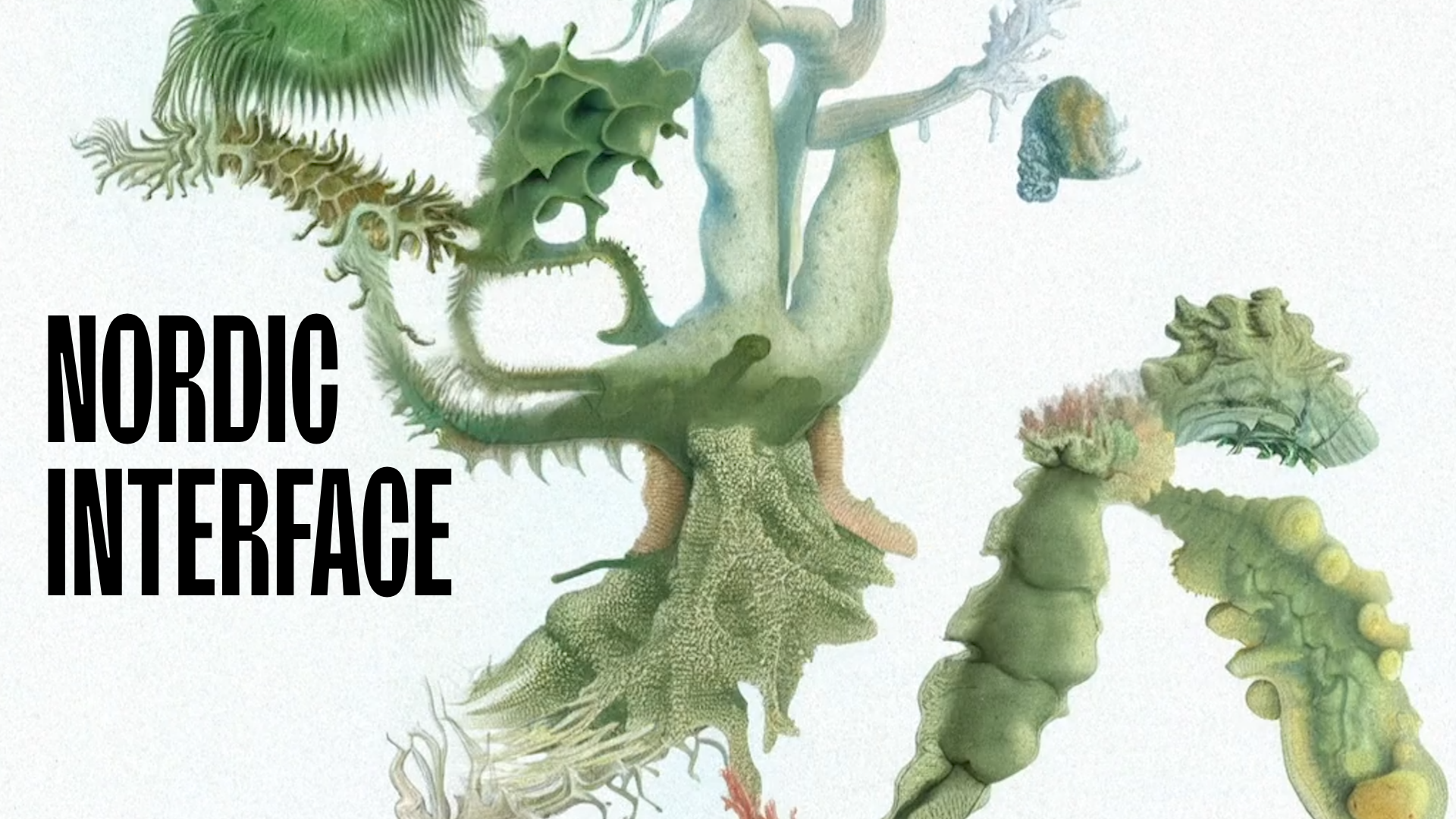Nordic Interface