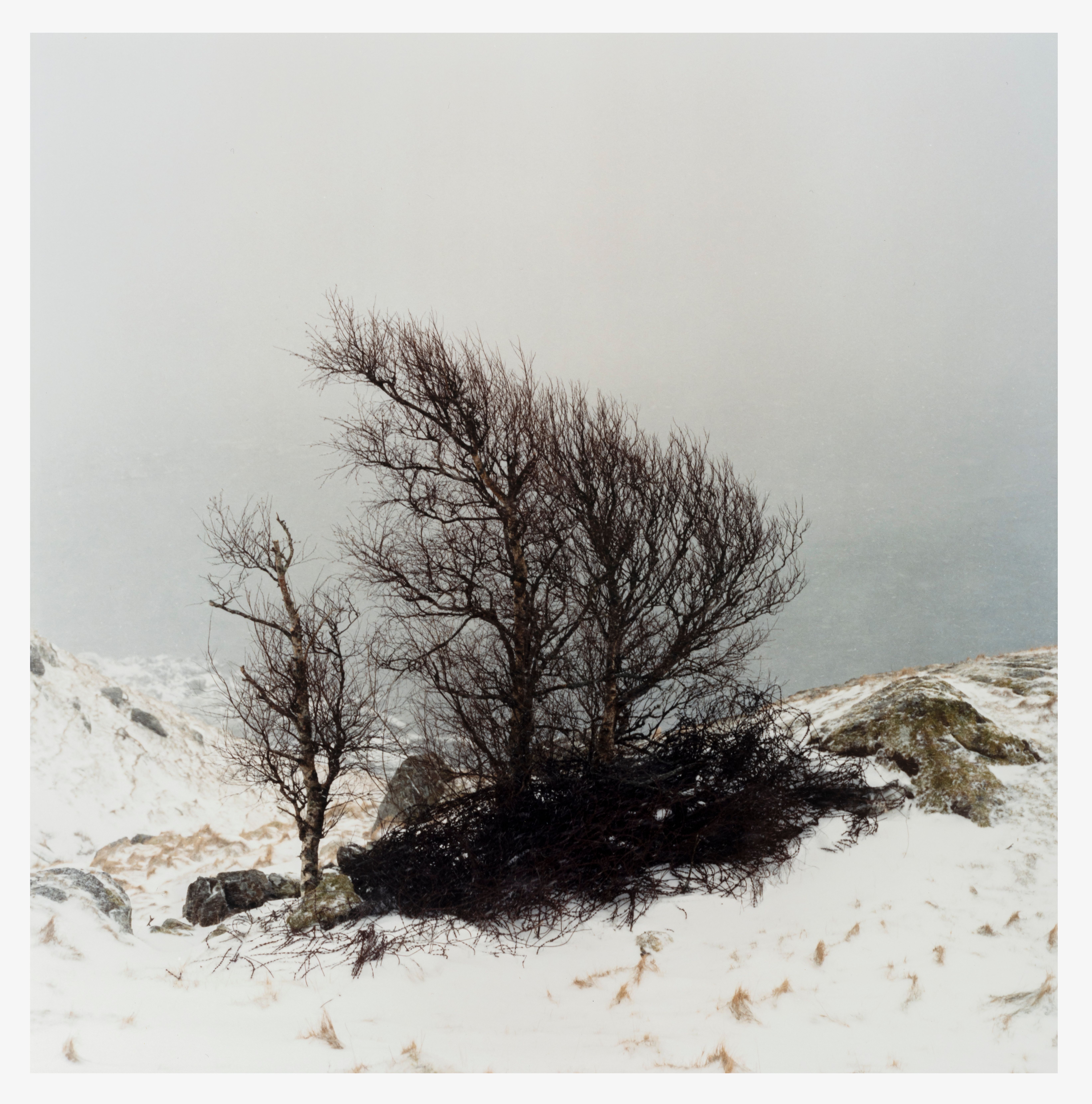 Mette Tronvoll, "12.02.24", Fargefotografi fra fargenegativ. Foto: Øystein Thorvaldsen ©Kunstsilo / Tangen-collection