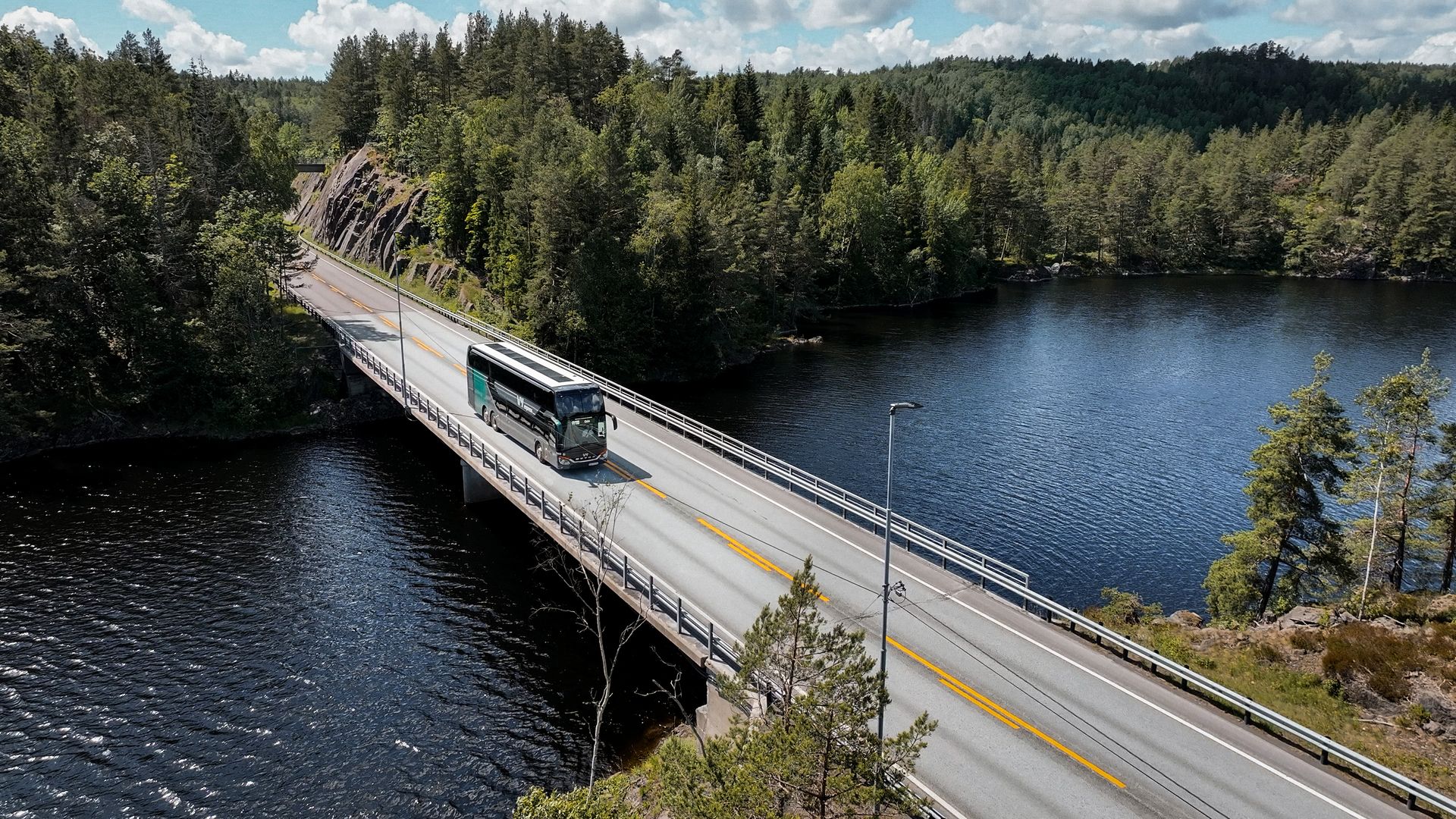 Buss som kjører over en bro i en skog